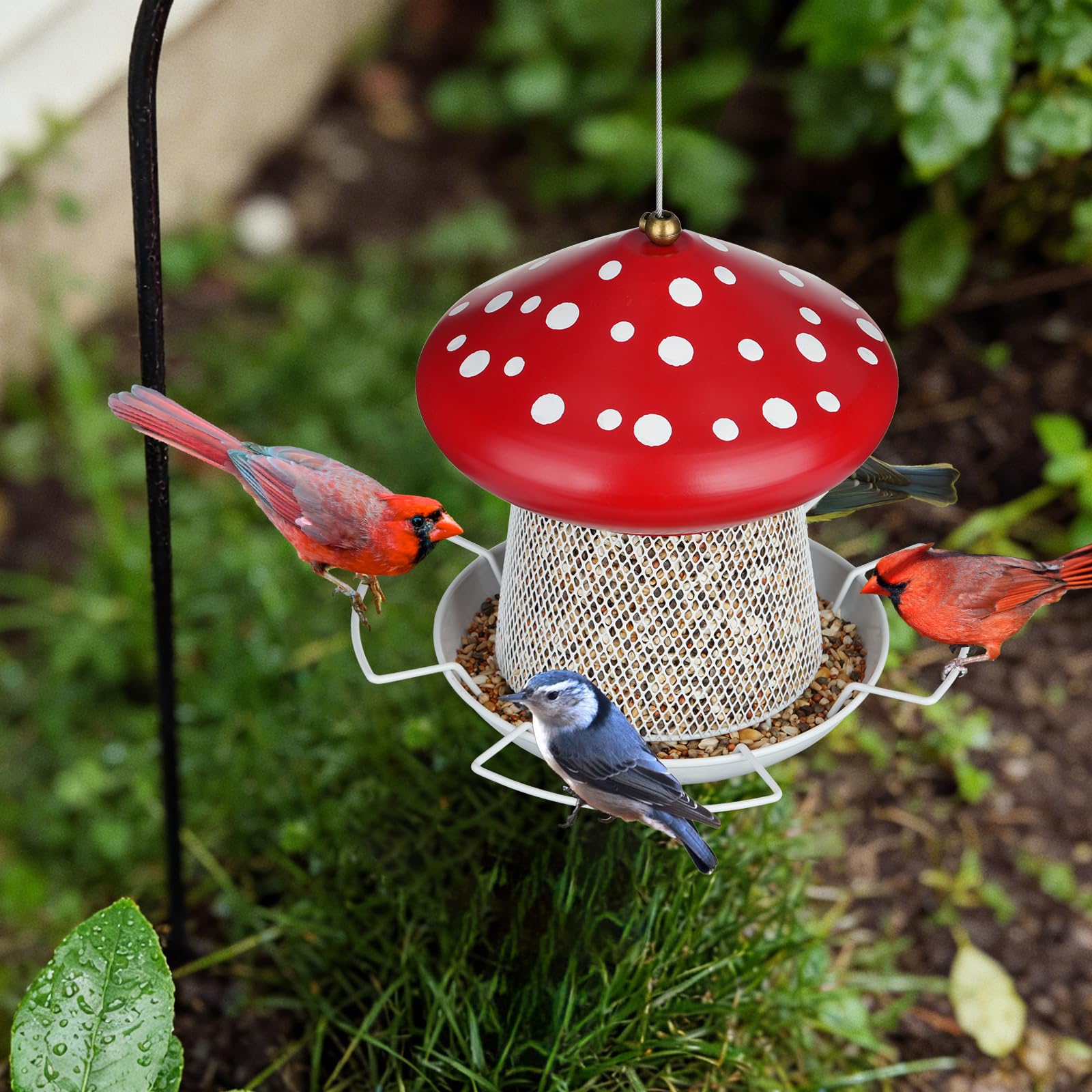 IWNTWY 7-diameter by 8.6-height feeder offers ample feeding space