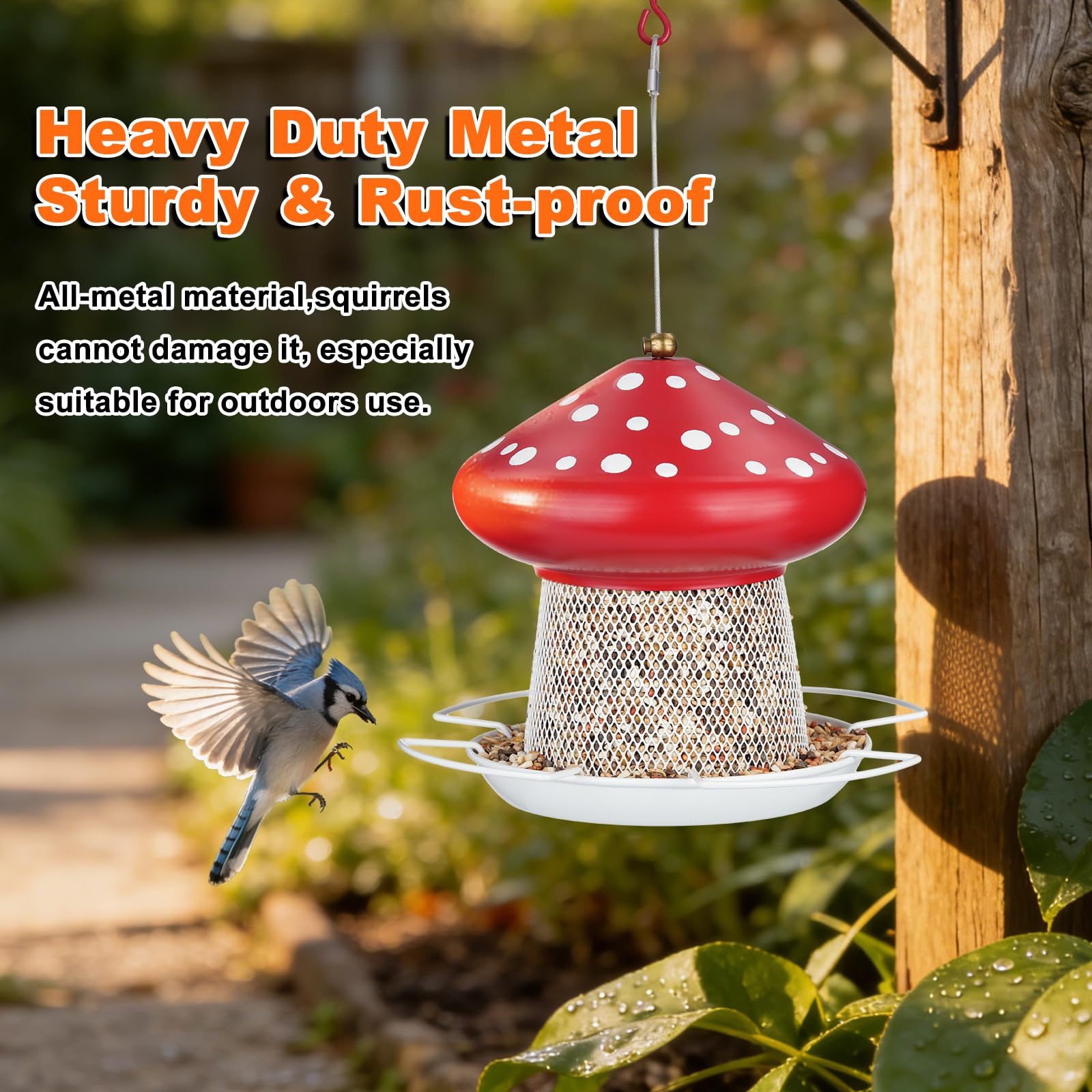 IWNTWY 3.5 lb capacity supports longer bird activity viewing
