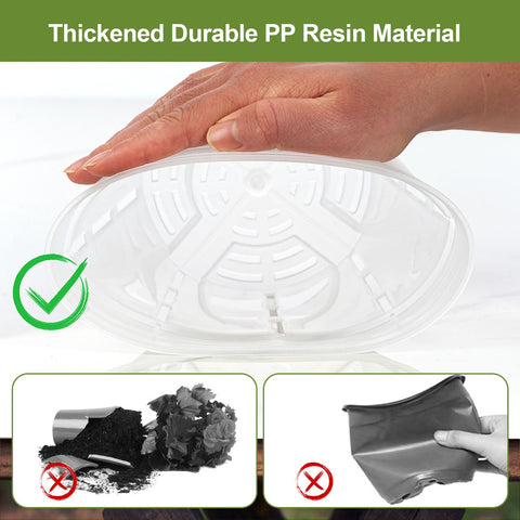 IWNTWY Orchid Pot 6-inch clear bottom drainage ensures proper watering.