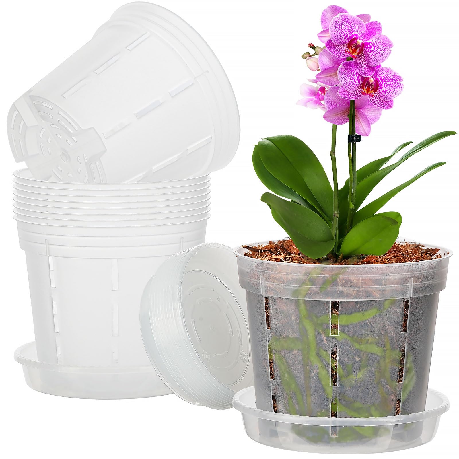 IWNTWY Orchid Pot 6-inch clear front view for easy root observation and tidier setup.