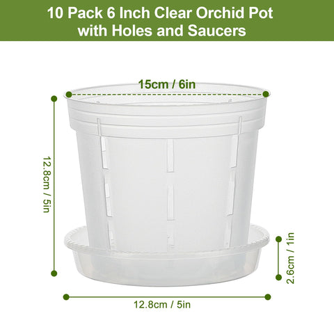 IWNTWY Orchid Pot 6-inch clear side vent holes highlights airflow for healthy roots.