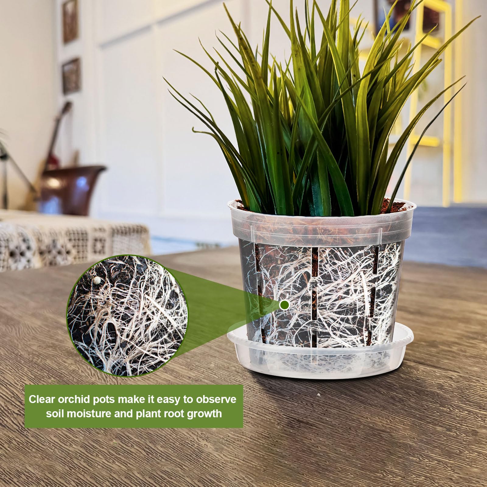 IWNTWY Orchid Pot durable PP resin ensures long-lasting, reusable planters.