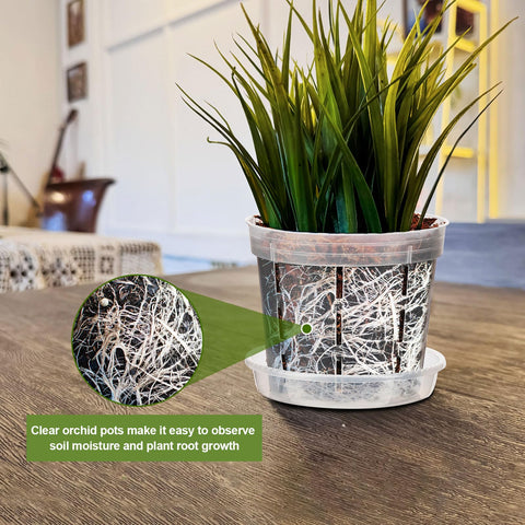 IWNTWY Orchid Pot durable PP resin ensures long-lasting, reusable planters.