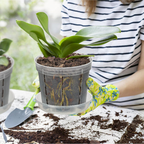 IWNTWY Orchid Pot indoor outdoor use supports versatile plant display.