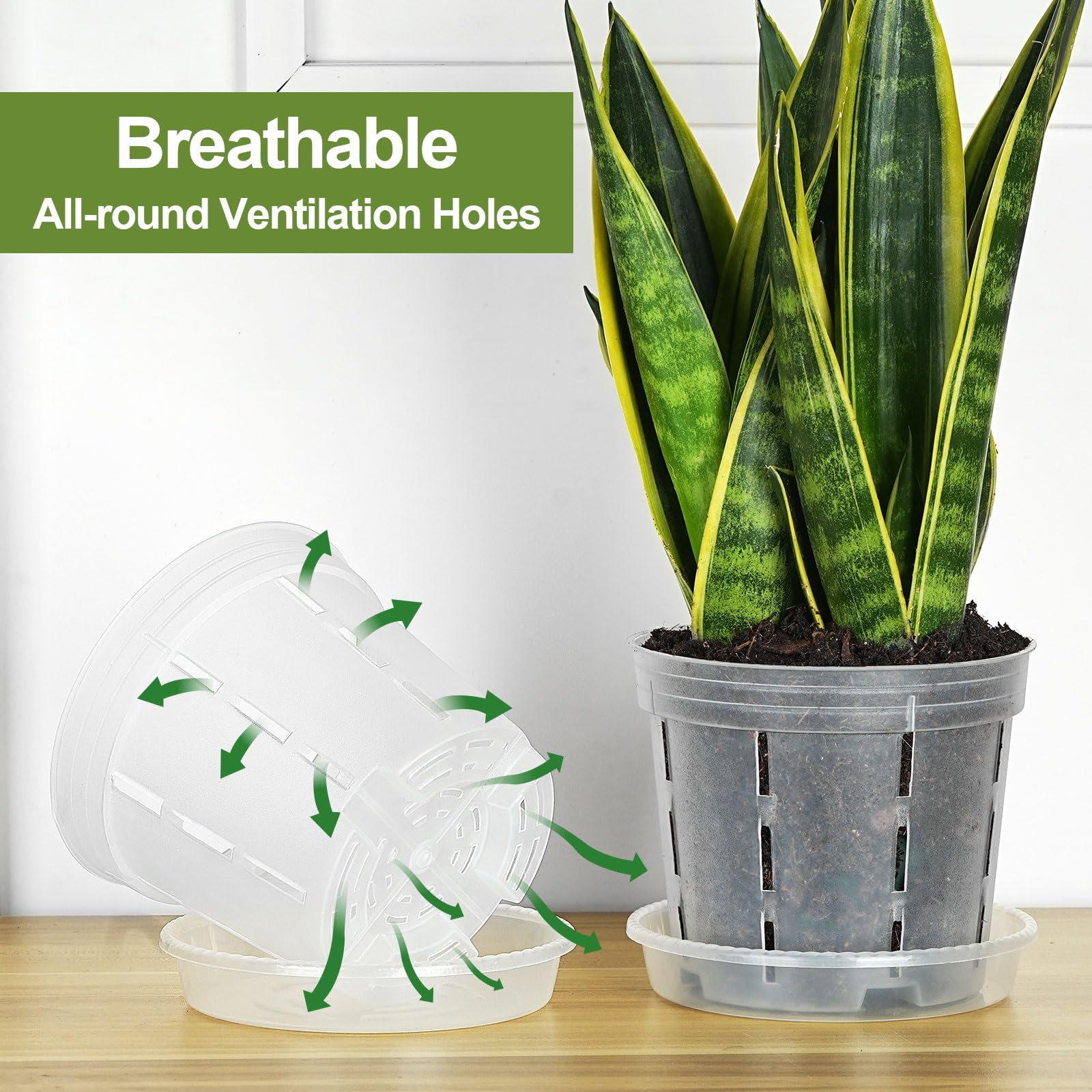 IWNTWY Orchid Pot root observation aids monitoring without disturbing plants.