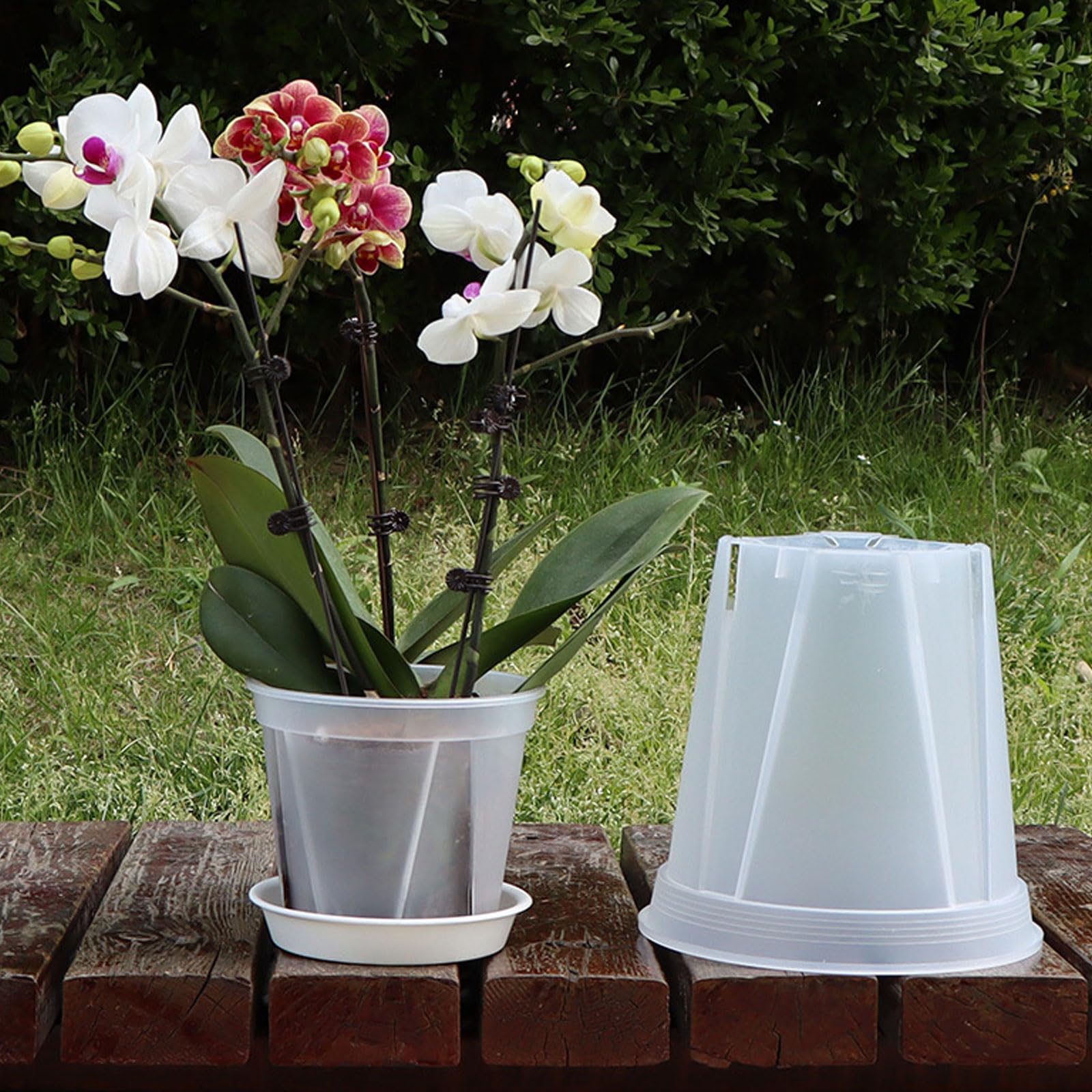 IWNTWY 3-pack packaging simplifies multi plant setups