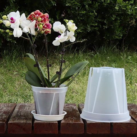 IWNTWY 3-pack packaging simplifies multi plant setups