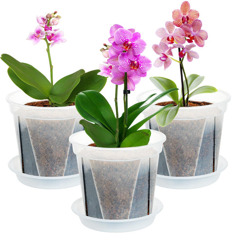 IWNTWY plant pots 7 inch transparent view highlights root growth and visibility