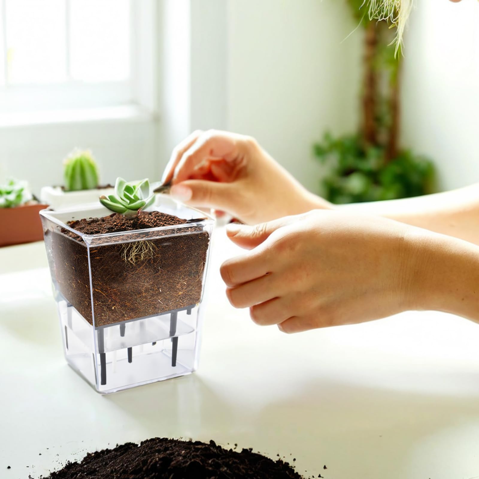 IWNTWY self-watering pot uses absorbent cotton wicks for steady moisture.