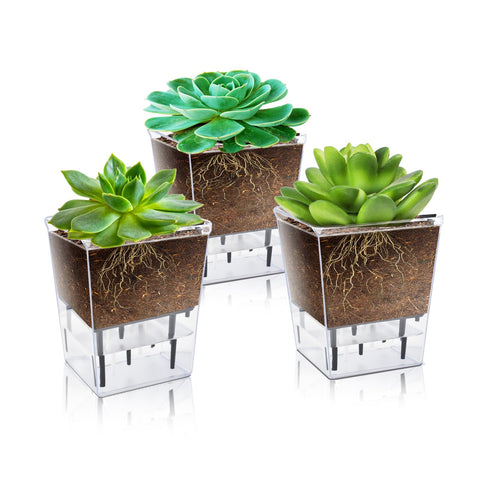 IWNTWY self-watering pot front view with clear reservoir for easy care.