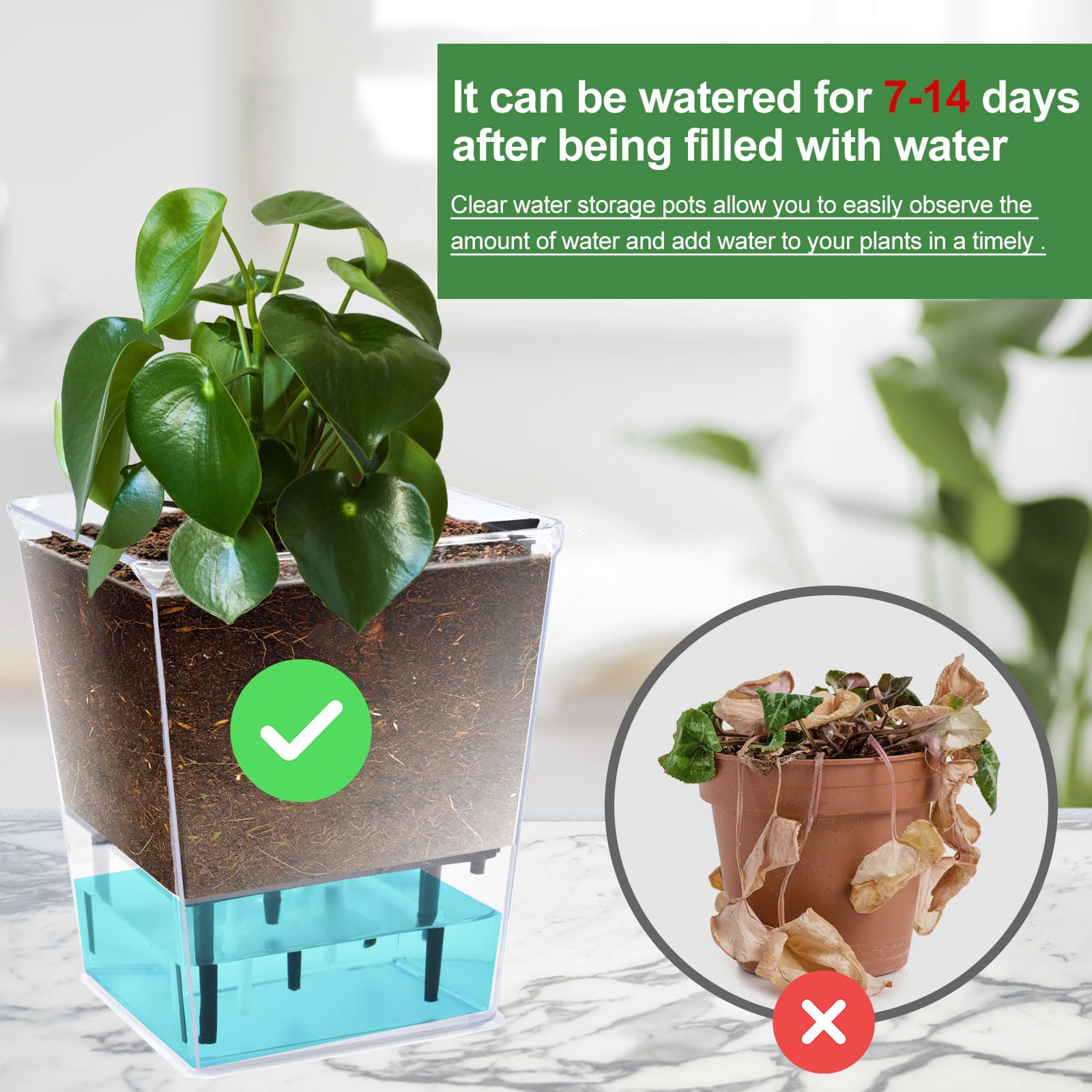 IWNTWY self-watering pot plant display suits windowsills and desks.