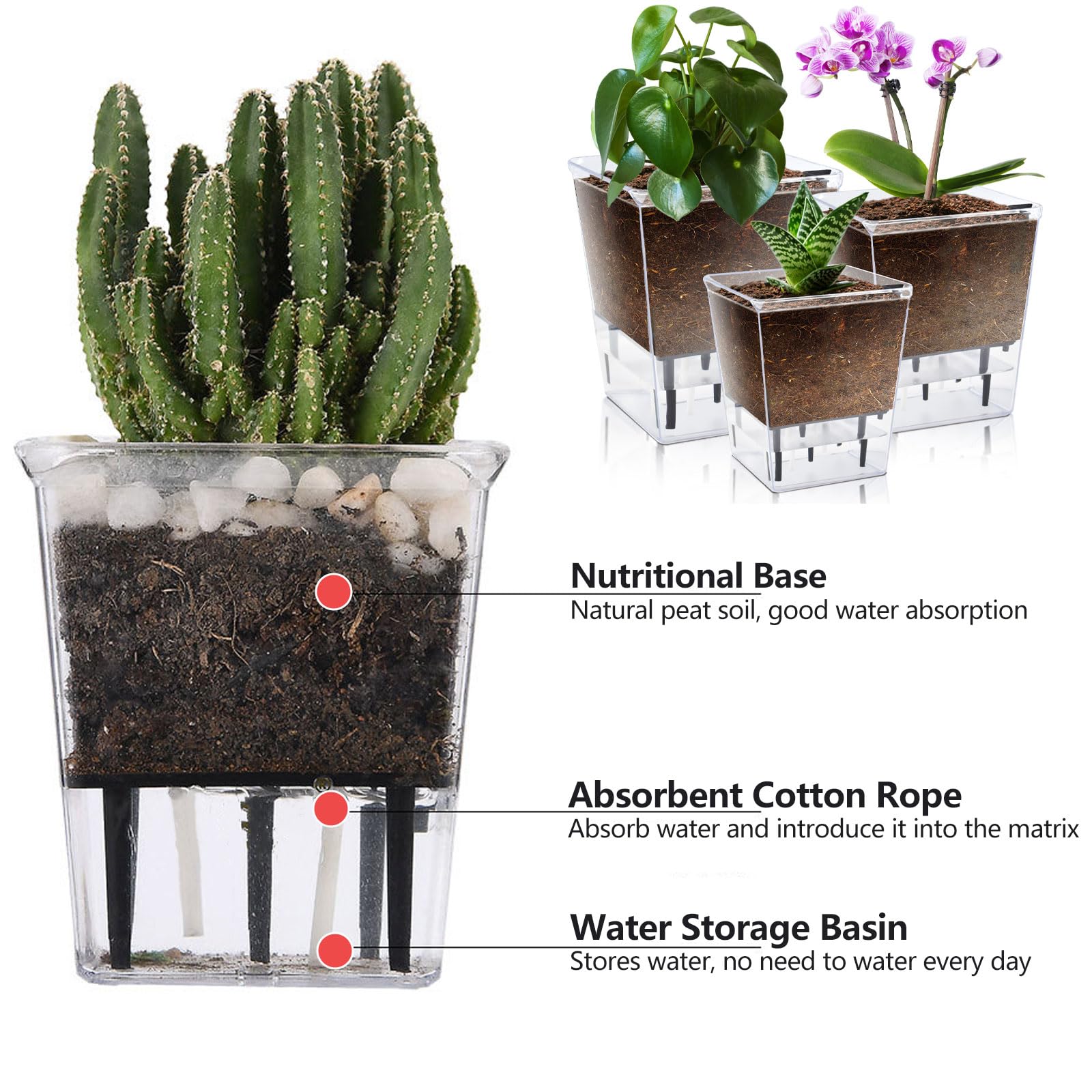 IWNTWY self-watering pot 4-1-inch front view reveals transparent walls for root watching.