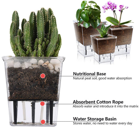 IWNTWY self-watering pot 4-1-inch front view reveals transparent walls for root watching.