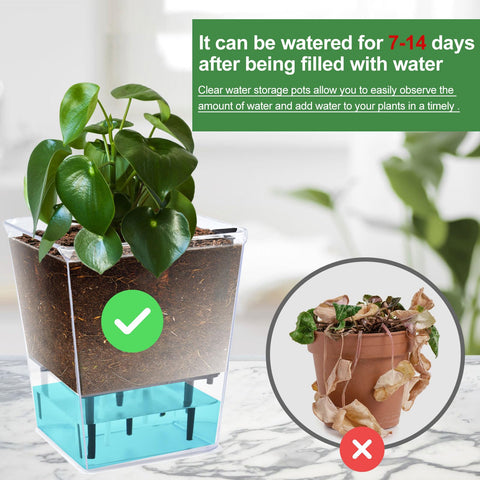 IWNTWY self-watering pot 4-1-inch tray inspection shows soil-air separation.