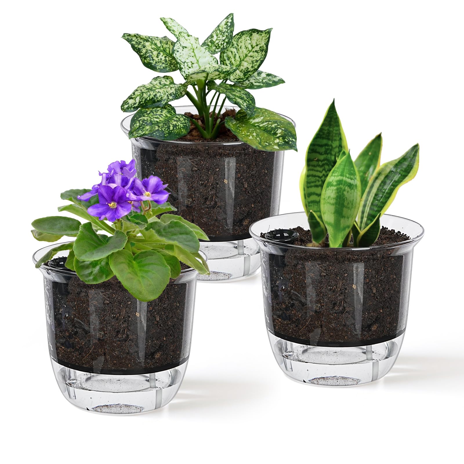 IWNTWY self watering pot 4-inch clear exterior for easy plant care