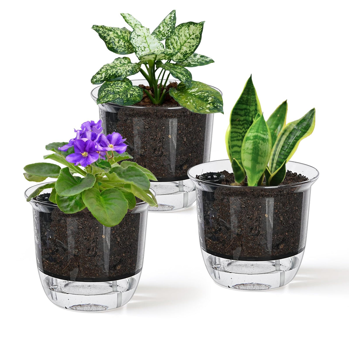 IWNTWY self watering pot 4-inch clear exterior for easy plant care