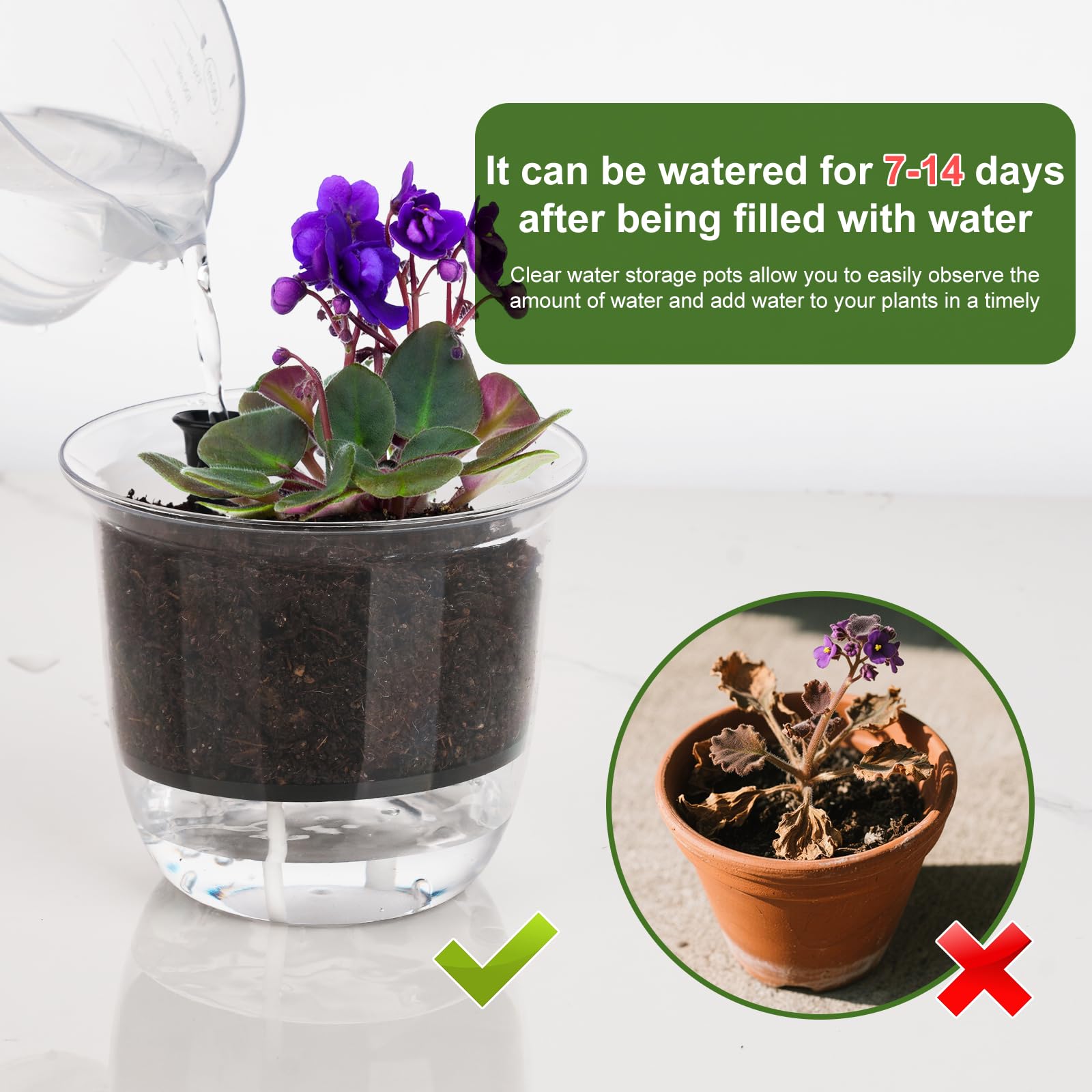 IWNTWY 4-inch pot with clear walls for root observation