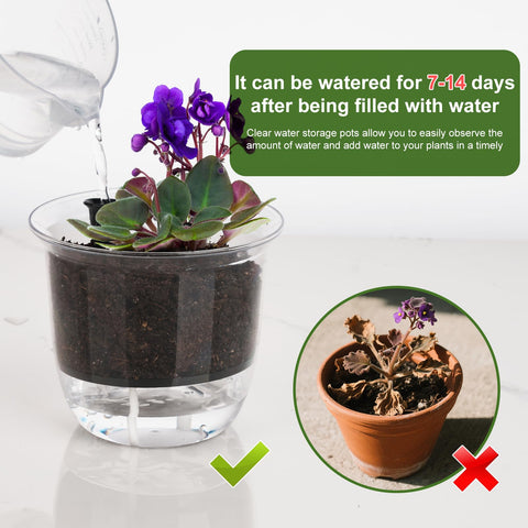 IWNTWY 4-inch pot with clear walls for root observation