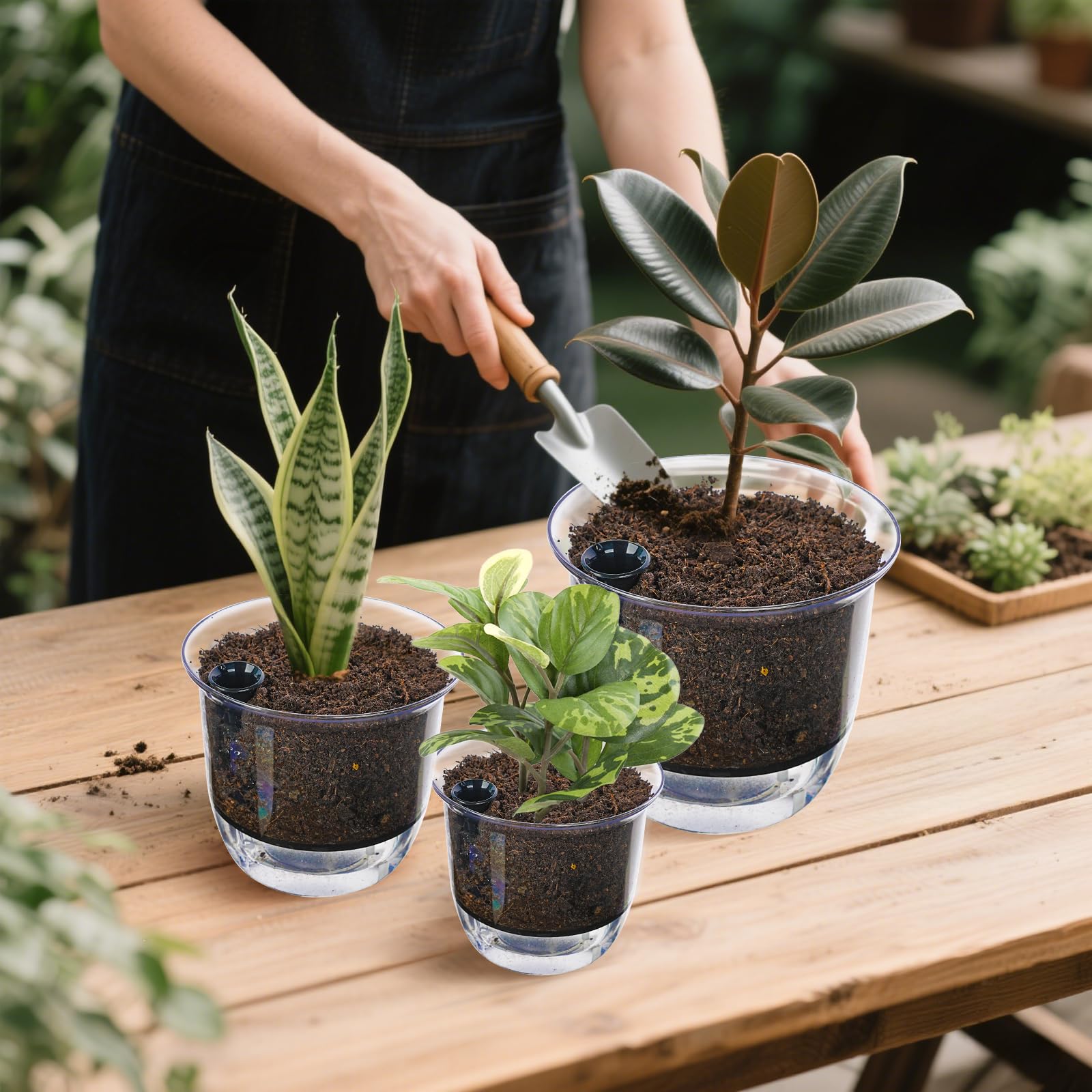 IWNTWY 4-inch setup on window sill for convenient indoor gardening