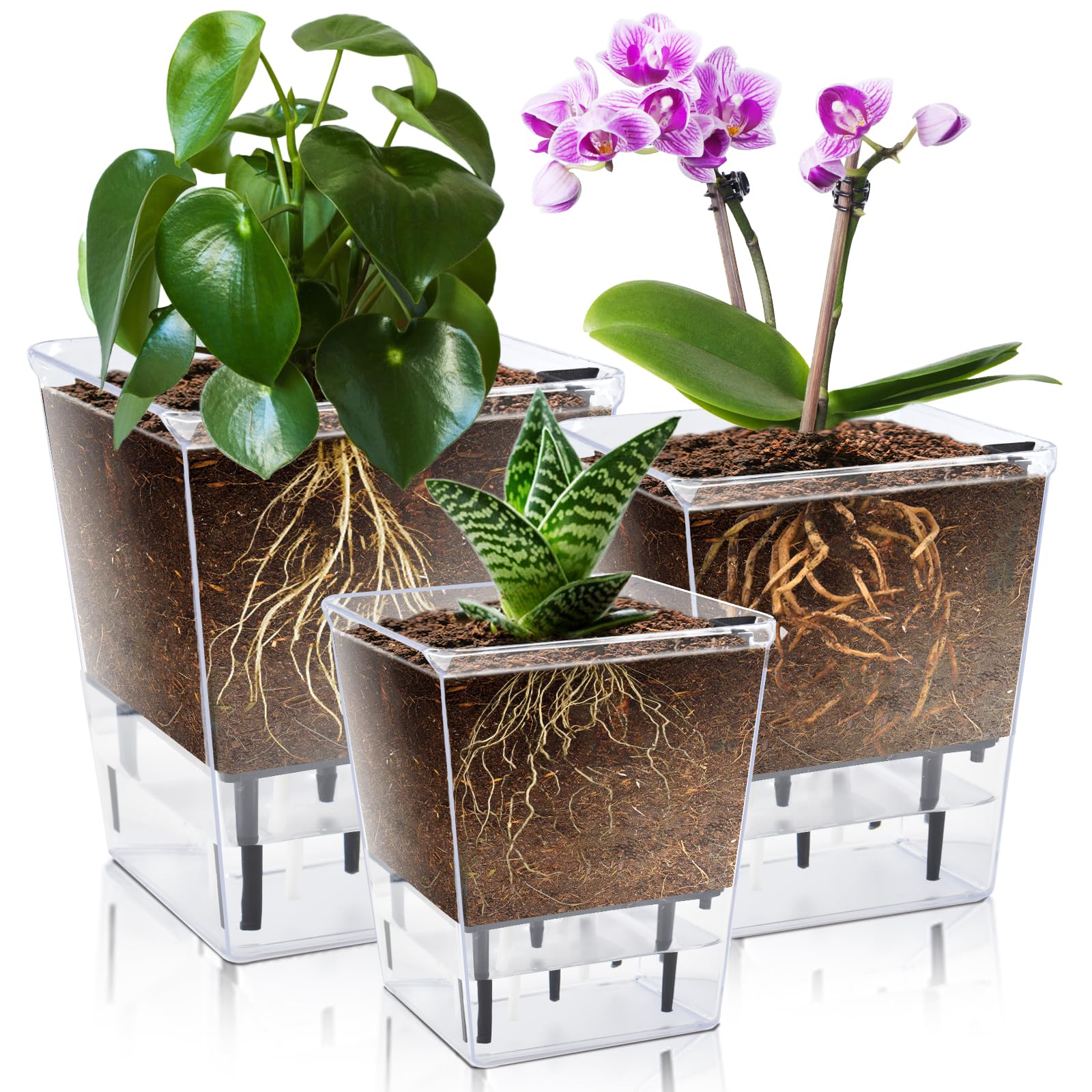 IWNTWY self-watering pot 5-inch front view shows clear reservoir for easy monitoring.