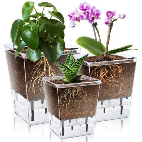 IWNTWY self-watering pot 5-inch front view shows clear reservoir for easy monitoring.