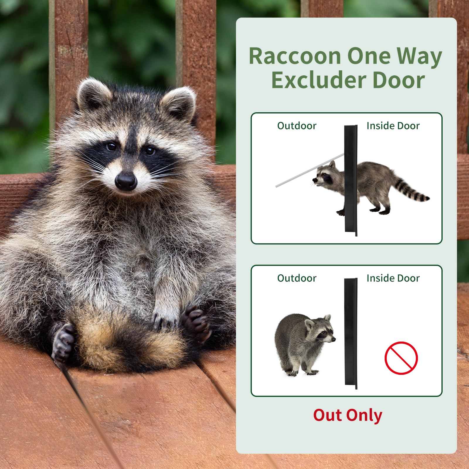 iwreaiy installation-ready door with 6-hole frame for secure mounting.