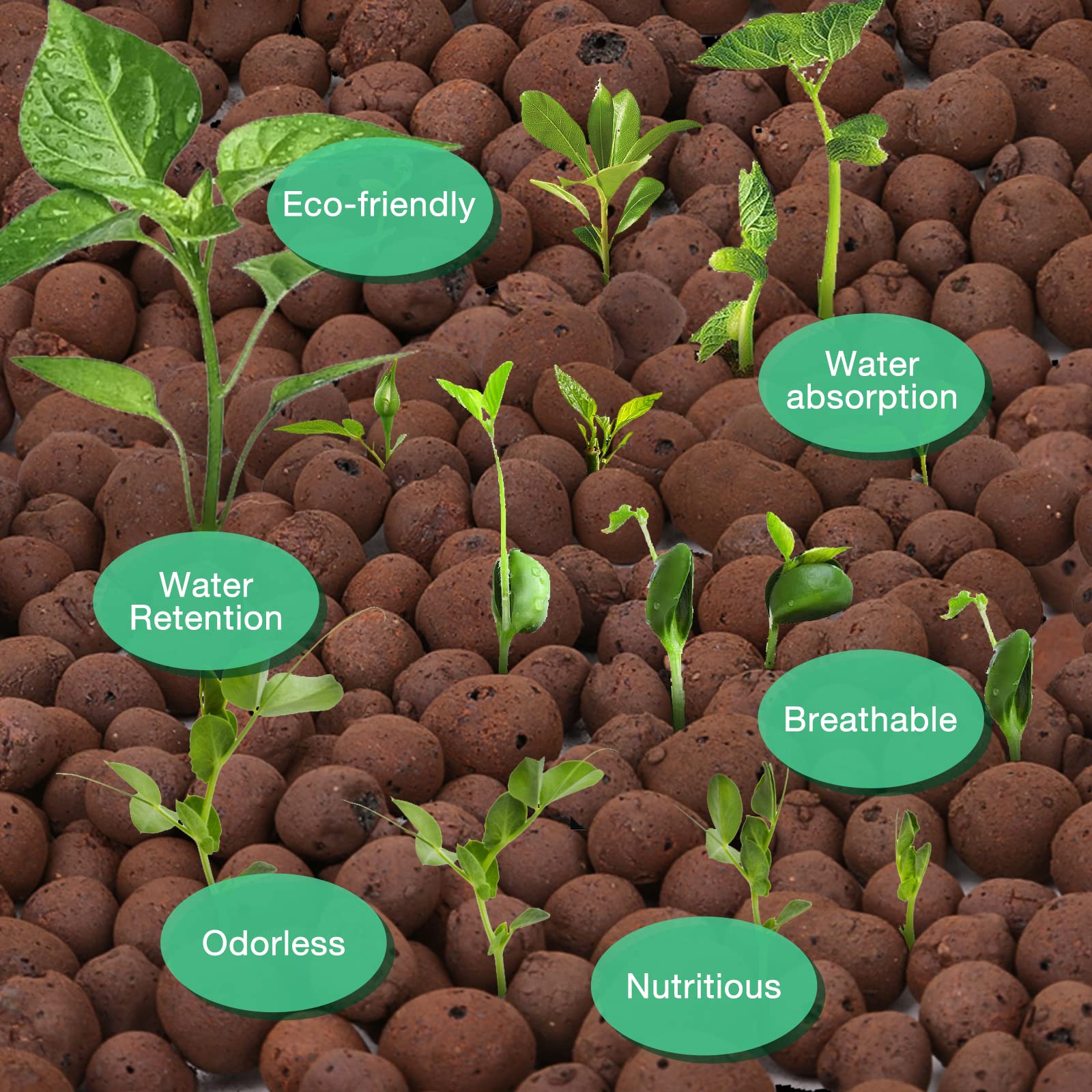 LECA pebbles in pot with roots showing healthy airflow