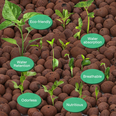 LECA pebbles in pot with roots showing healthy airflow