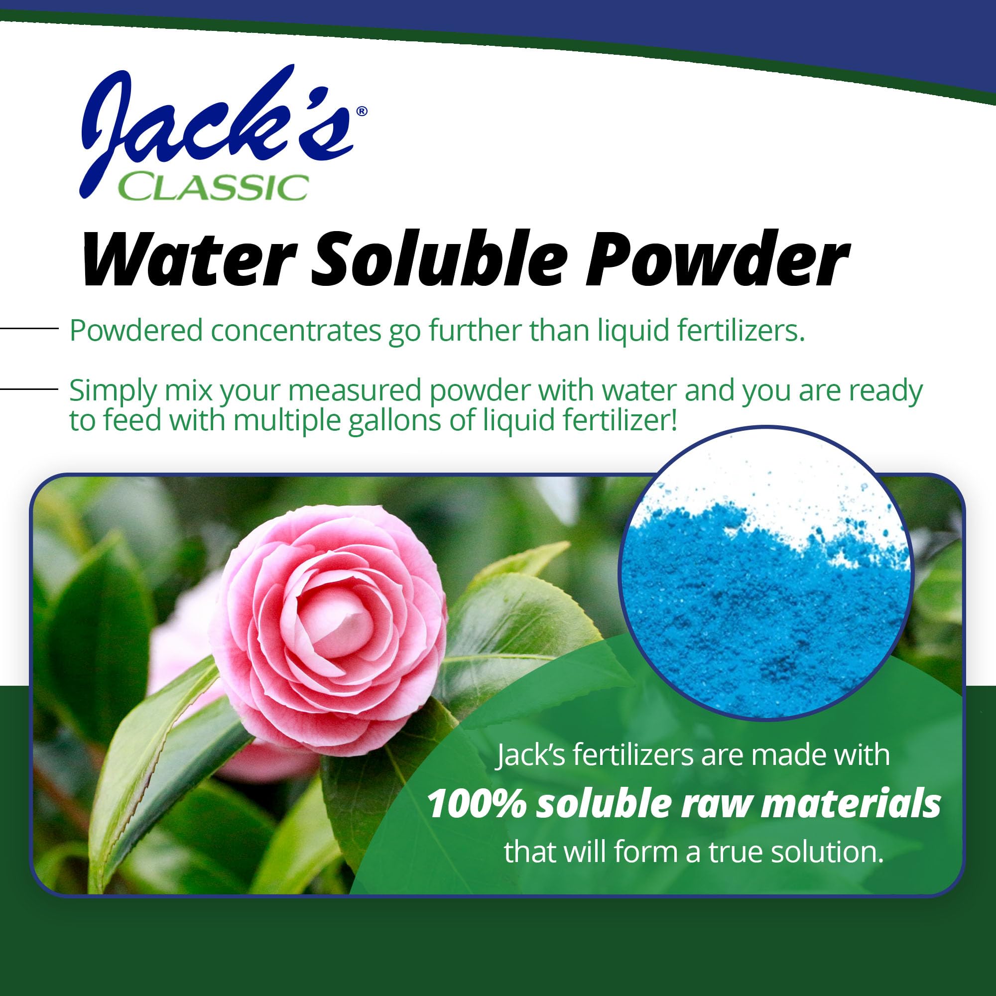 Lush green leaves after using Jack's Classic Acid Special.