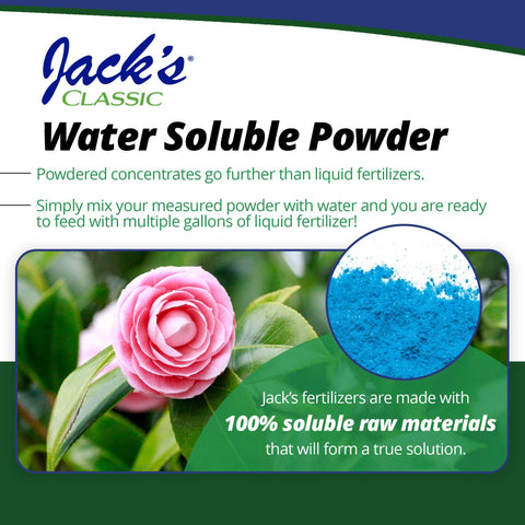 Lush green leaves after using Jack's Classic Acid Special.