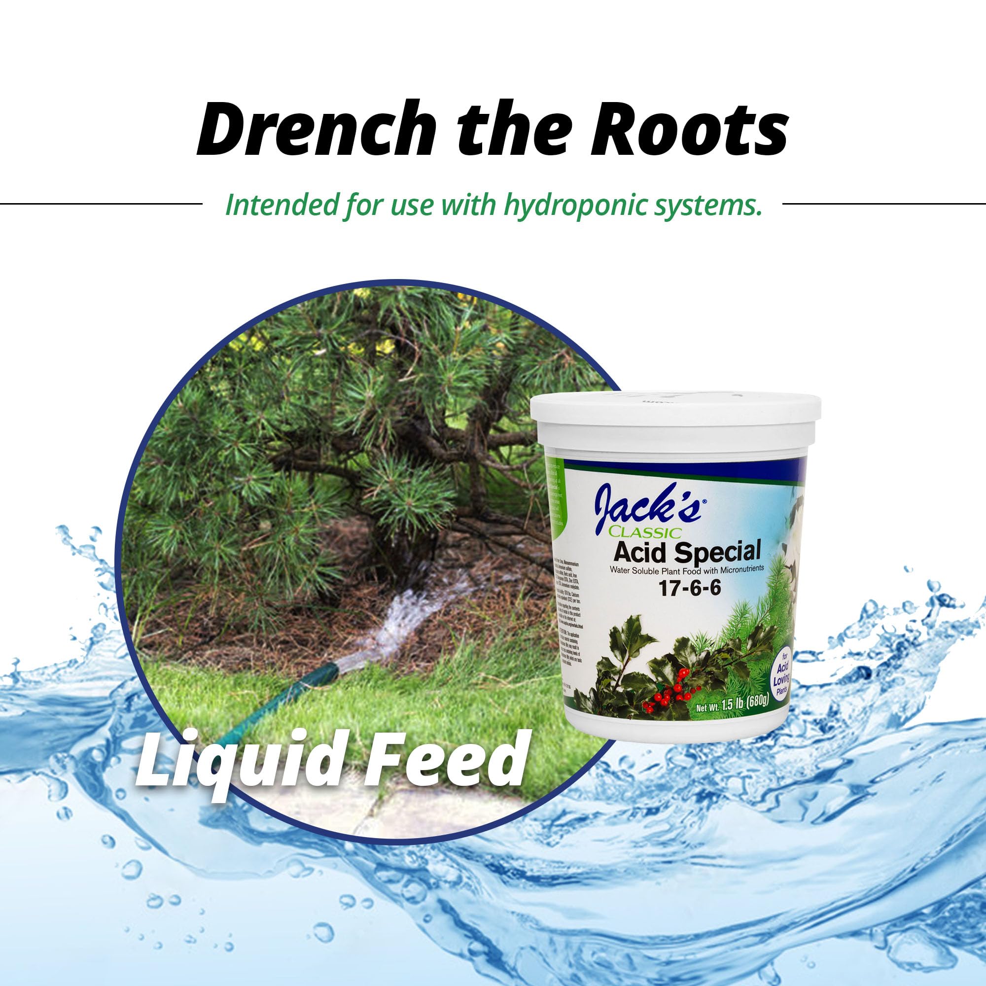 Blooming plants show healthy growth with Jack's Classic Acid Special.
