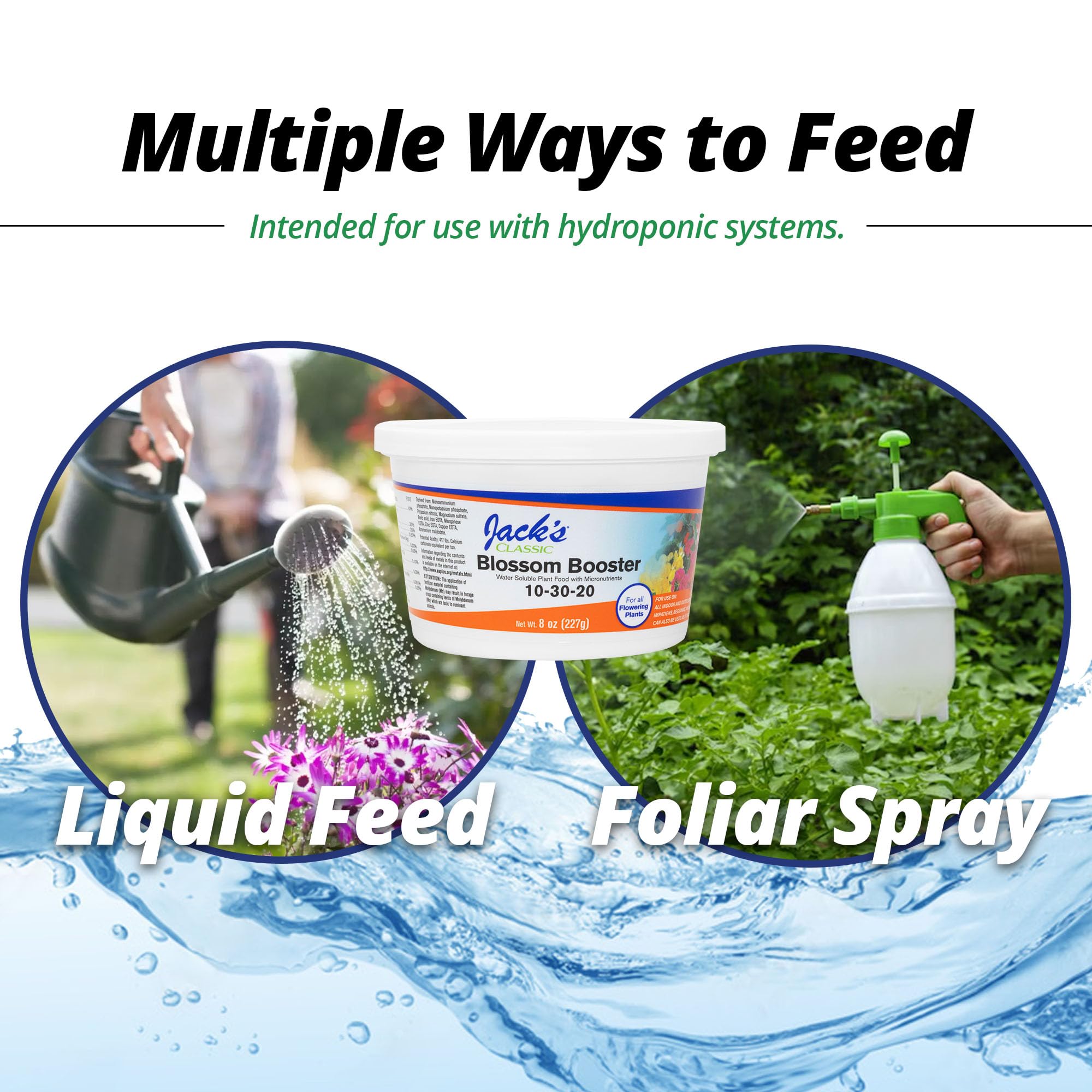 Vibrant blooms in flowering plants resulting from Blossom Booster use.
