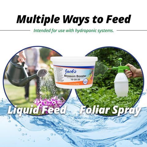 Vibrant blooms in flowering plants resulting from Blossom Booster use.