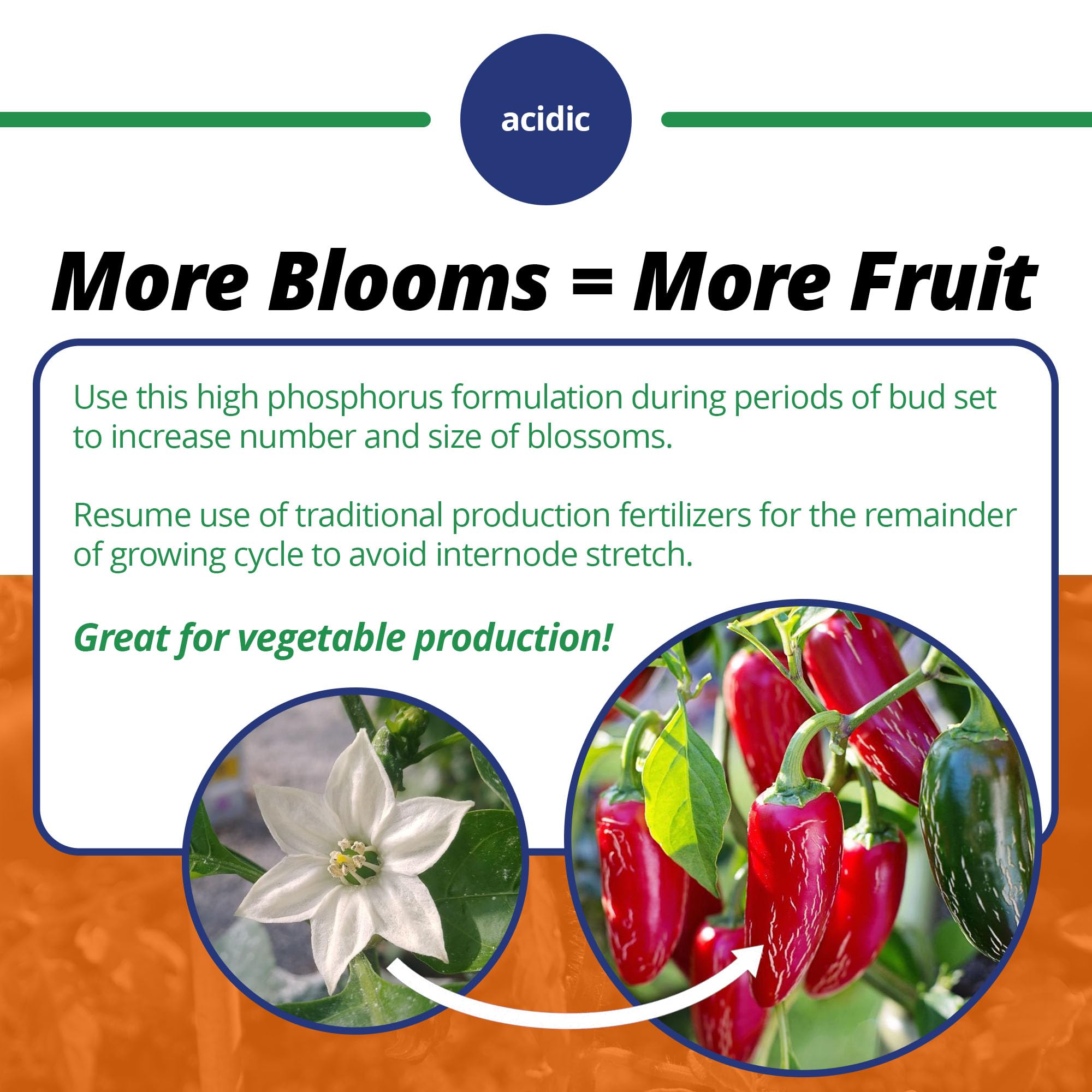 Jack's Classic Blossom Booster root feeding application for healthier roots.