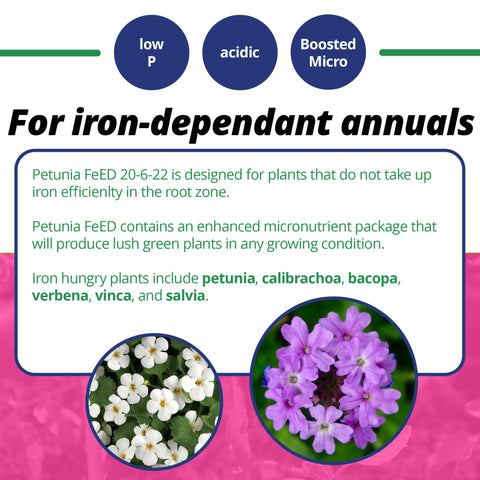 Leaf surfaces receive FeED foliar spray for quick uptake.