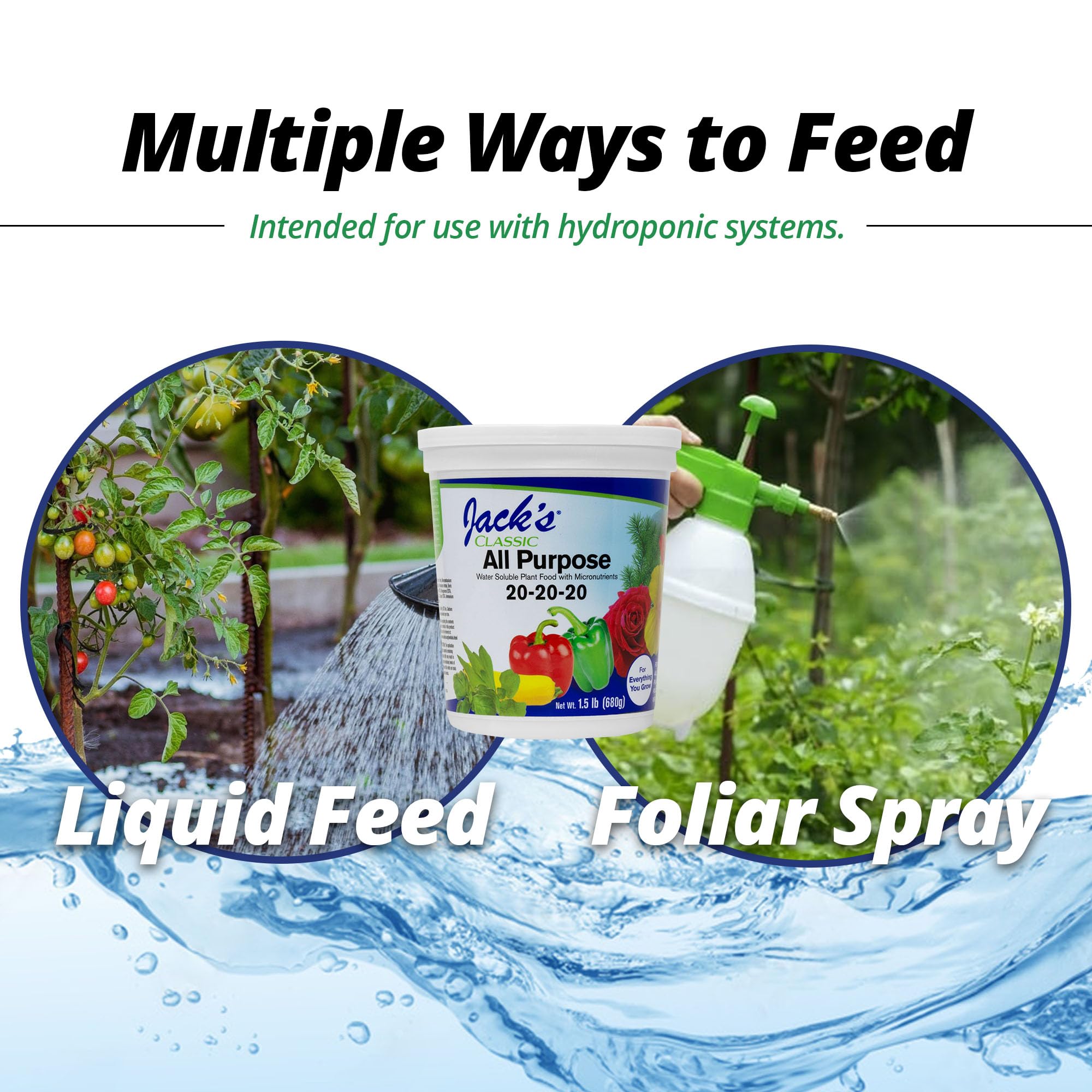 Micronutrients in Jack's Classic 20-20-20 supporting healthy growth
