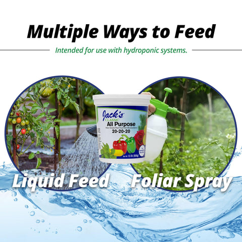 Micronutrients in Jack's Classic 20-20-20 supporting healthy growth