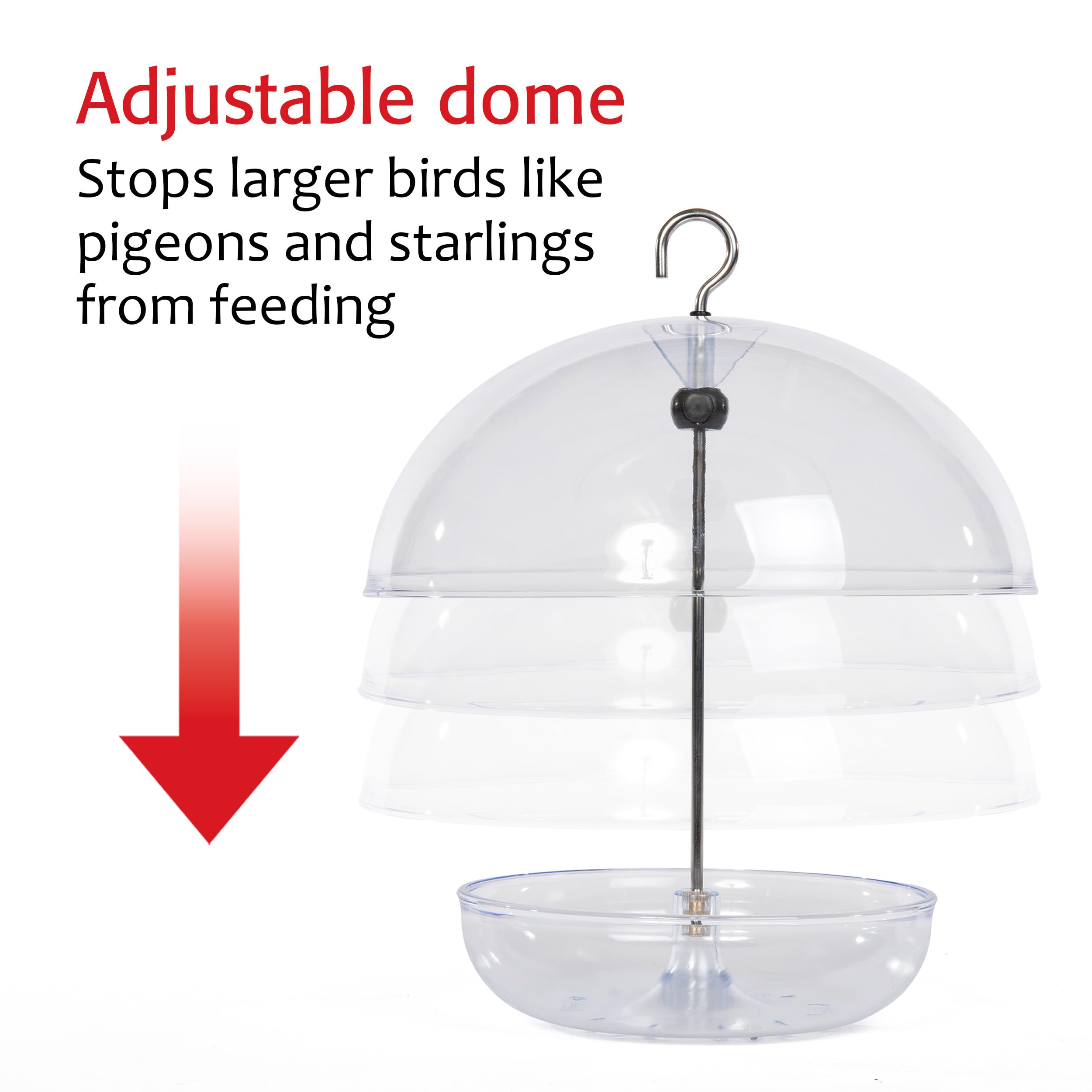 Jacobi Jayne bluebird feeder attracting small birds to mealworms.