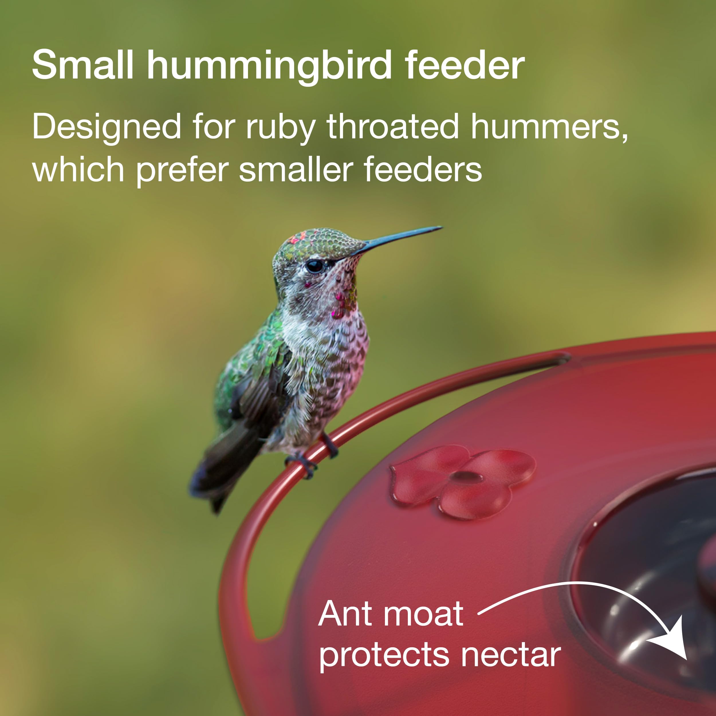 Jacobi Jayne Easy-clean feeder with wide-mouth and dishwasher-safe parts.