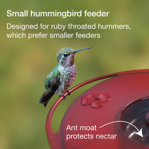 Jacobi Jayne Easy-clean feeder with wide-mouth and dishwasher-safe parts.