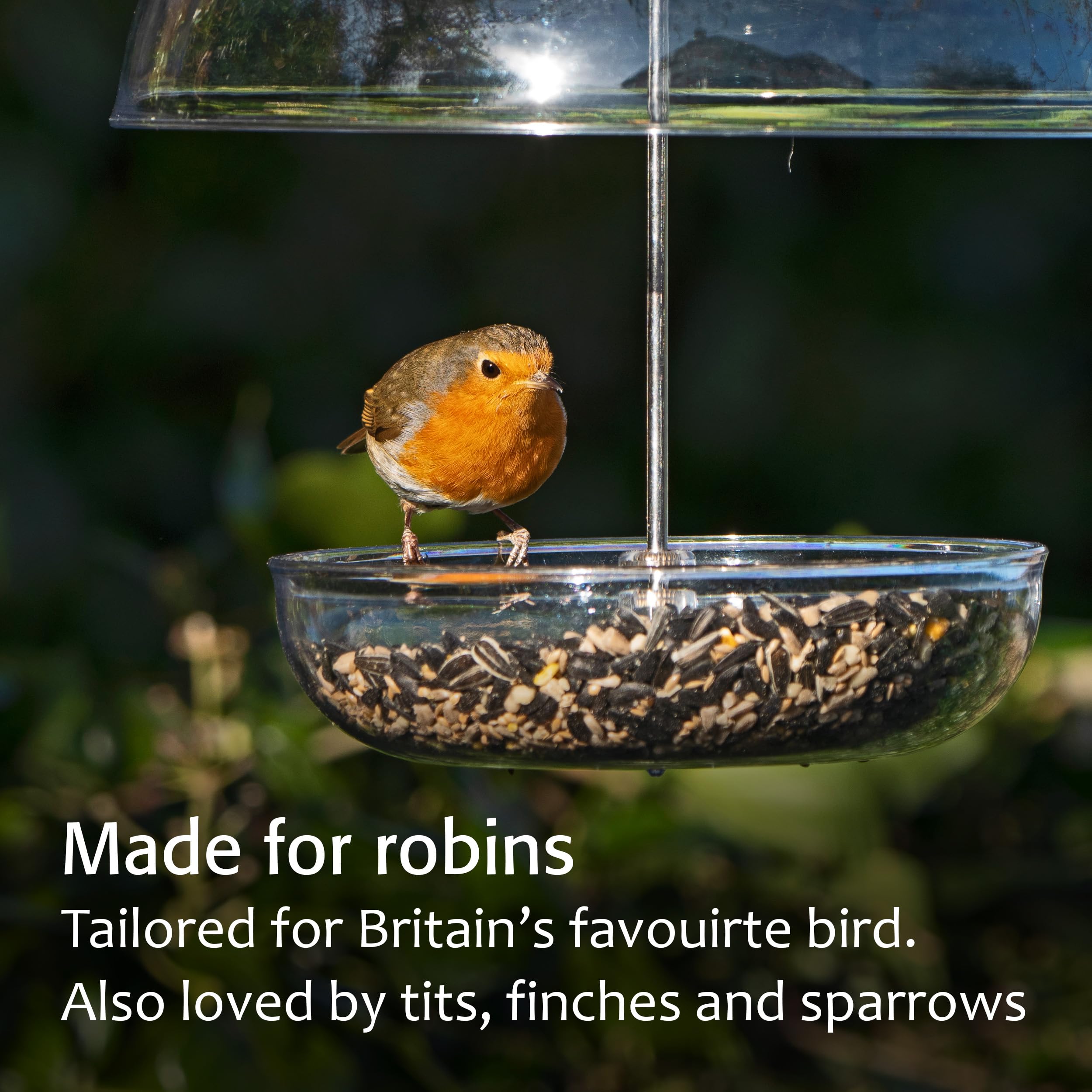 Jacobi Jayne Pearl Feeder with dome cover protecting mealworms.
