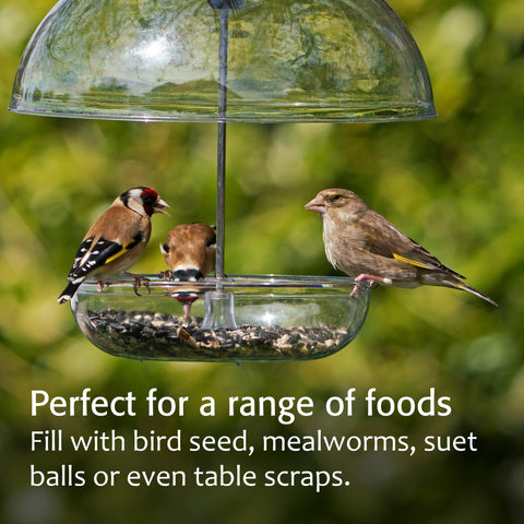 Jacobi Jayne platform feeder with ample feeding space for birds.