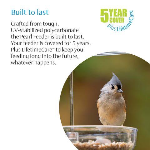 Compact Pearl Feeder Mini in a small backyard setup for bluebirds