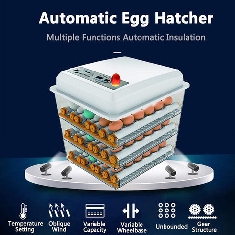 JAEDO egg candler built into lid allows quick egg viability checks