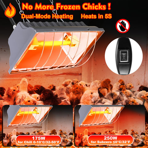 Jaenmsa brooder lamp with two bulbs provides wide, reliable warmth.