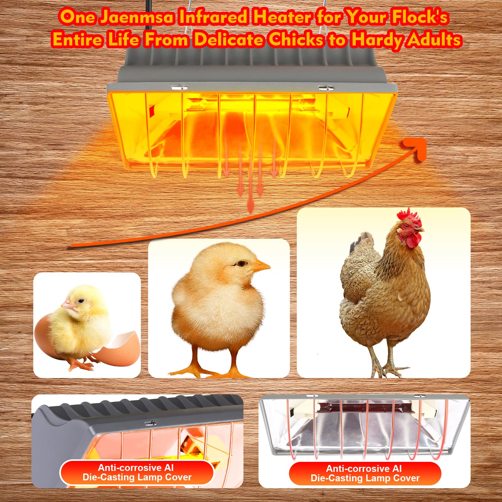 Jaenmsa two-bulb infrared system offers consistent warmth for chicks.