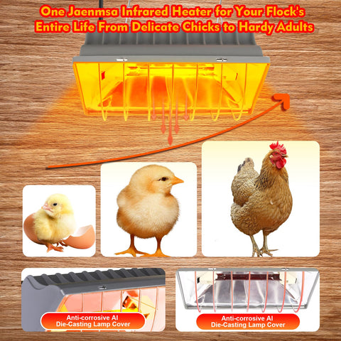 Jaenmsa two-bulb infrared system offers consistent warmth for chicks.