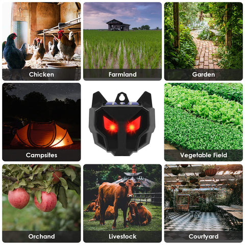 Humane solution that avoids traps or chemicals