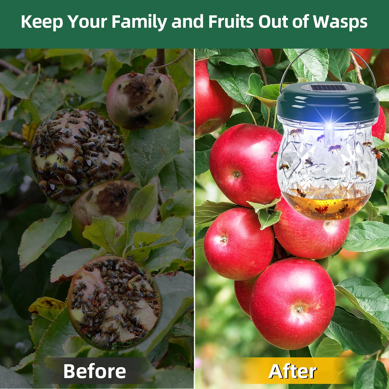 Jahy2Tech Bee trap reusable design supports multiple seasons.