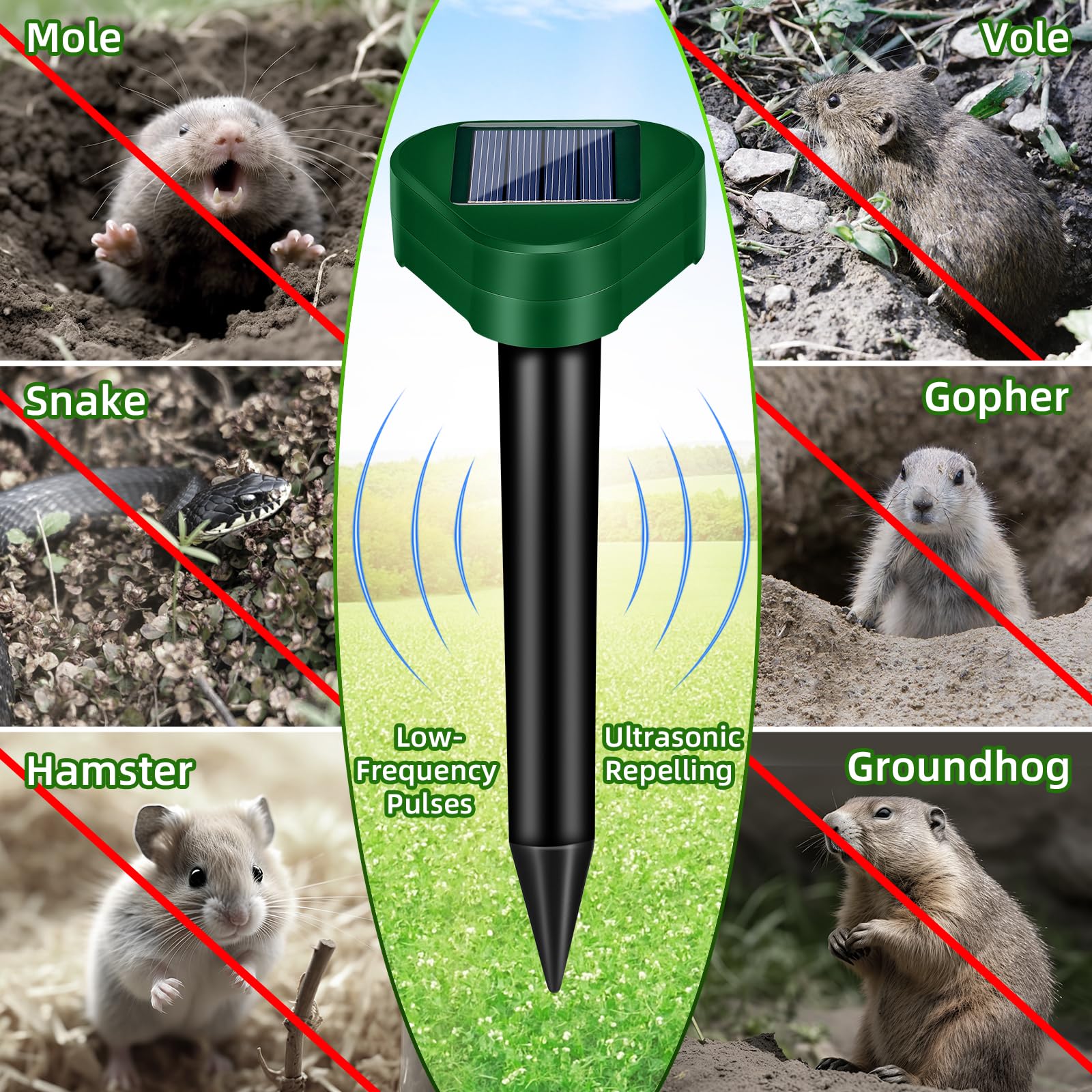 Jahy2Tech easy-install stakes simplify setup in any soil.